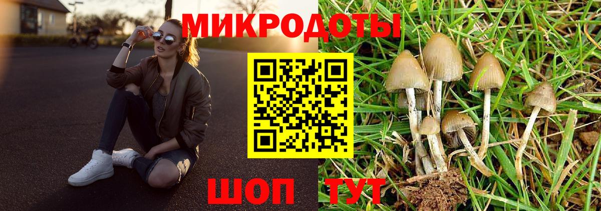 Псилоцибиновые грибы Psilocybine cubensis  Галлюциногенные грибы MAGIC MUSHROOMS  Вход с VPN  Вологда 