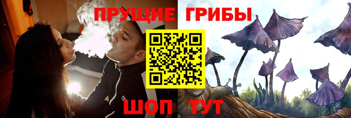Галлюциногенные грибы Cubensis Вологда