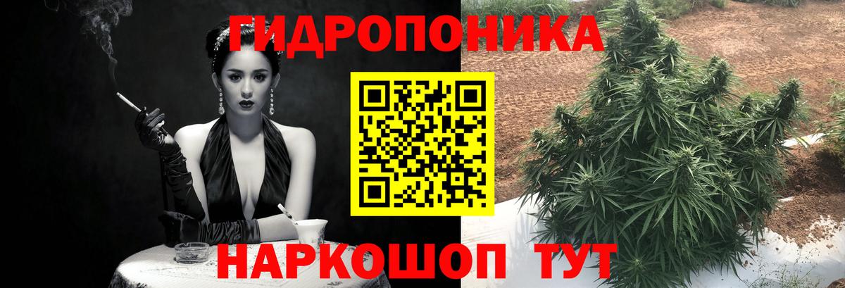 Марихуана тримм  Каннабис семена  Каннабис Ganja  Вход с VPN  Вологда  Бошки Шишки Bruce Banner 
